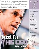 Excel for the CEO (Excel for Professionals)