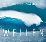 Wellen. Faszinierende Schauspiele der Ozeane - Sylvain Cazenave; Eric Chauche; Tim McKenna; Guillaume Dufau; Tim MacKenna; Alexandre Hurel; Pierre Nouqueret