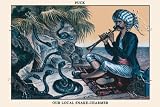 Canvas Print, Puck Magazine: Our Local Snake-Charmer - 36 x 24