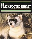 Black-Footed Ferret, The (Endangered in America)
