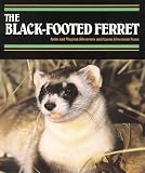 Black-Footed Ferret, The (Endangered in America)