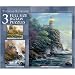 Search : Thomas Kinkade 3 in 1 Lighthouse Near Ocean Jigsaw Puzzle 500pc