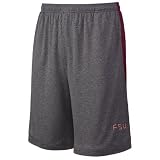 Nike Florida State Seminoles (FSU) Ash Dri-FIT Training Shorts