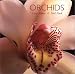 My favorite orchid books, in no particular order