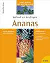 Heilkraft aus den Tropen. Ananas