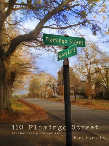 110 Flamingo Street Short story collectionB007WF7LLM : image