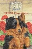 Home Farm Twins: Titch Plays Tricks Puppy trilogy 3 (Home Farm twins puppy trilogy)