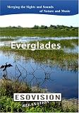 ESOVISION Relaxation  EVERGLADES