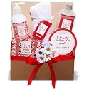 Alder Creek Gifts White Tea Ginger Spa Tray Gift Basket