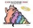 Catcalendar 2010: 365 Days of Cats