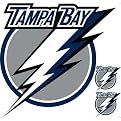 Tampa Bay Lightning Removable Logo - 24x24"