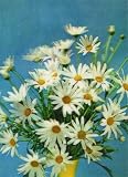 3D Lenticular POSTCARD-DAISY