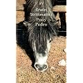 Pony Pedro