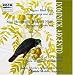 Argento: A Water Bird talk/Miss Havisham's Wedding Night
