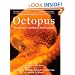 Octopus: The Ocean's Intelligent Invertebrate