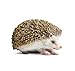 Safari Ltd. Hedgehog Figurine - Detailed 3.5