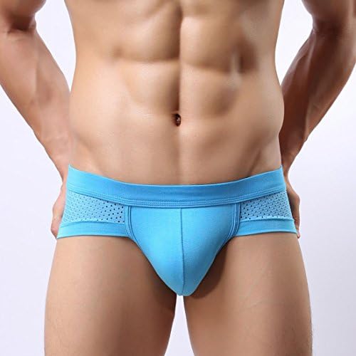 JAC Men's Pure Color Classical Style Mesh Brief (Pack 5) (L)