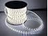 150' LED Rope Light Warm White & Cool White (Cool White)