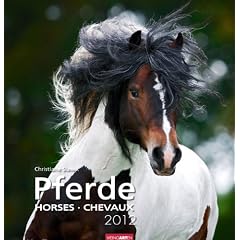 Pferde 2012