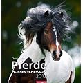 Pferde 2012