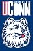 AFCON Connecticut 44x28 Applique Banner