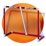 All Purpose Folding Sports Goal