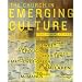 The Church in Emerging Culture: Five Perspectives (Emergent YS)