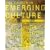The Church in Emerging Culture: Five Perspectives (Emergent YS)