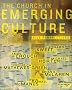 The Church in Emerging Culture: Five Perspectives (Emergent YS)