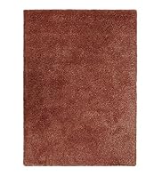 Lion Shaggy Rug