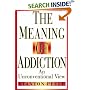 The Meaning of Addiction: An Unconventional View