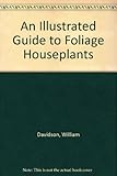 An illustrated guide to foliage houseplants