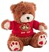 C1250C24 Teddy Bear Color Camera