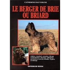 Le berger de brie ou briard