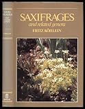 Saxifrages : and related genera