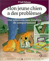 Mon jeune chien a des problemes des solutions de  comportement
