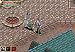 Bauldurs Gate: Dark Alliance