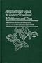 An Illustrated Guide to Eastern Woodland Wildflowers and Trees: 350 Plants Observed at Sugarloaf Mountain, Maryland (Center Books)