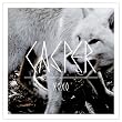 XOXO (Limited Edition im bedruckten Jewelcase)