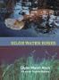 Bilge Water Bones: A Luanne Fogarty Mystery