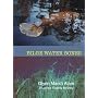 Bilge Water Bones: A Luanne Fogarty Mystery
