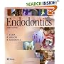 Endodontics