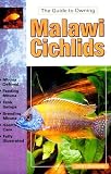 The Guide to Owning Malawi Cichlids