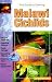The Guide to Owning Malawi Cichlids