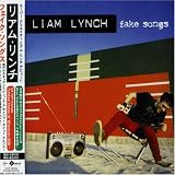 Liam Lynch - Fake Songs