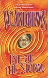 Eye Of The Storm (Hudson, Book 3)