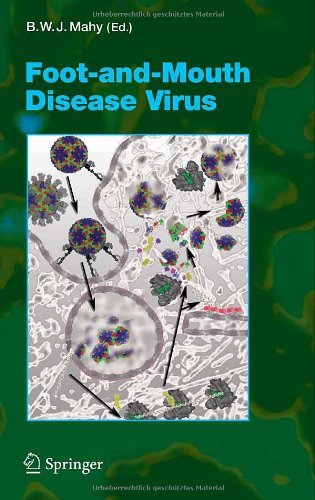 Foot-and-Mouth Disease Virus: 288 (Current Topics in Microbiology and Immunology)