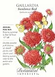 Amazon / Hirts: Seed; Annual: Sundance Red Gaillardia Seeds - .10 grams