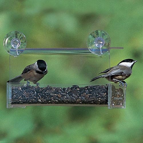 Duncraft Classic Window Bird Feeder
