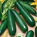 70 Seeds, Summer Squash "Black Beauty Zucchini" (Cucurbita pepo) Seeds by Seed Needs